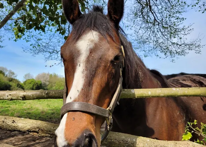 Parking Prive -le Valentin -coeur Historique -la Clef De * הונפלר