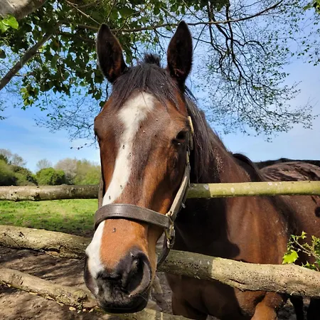 Parking Prive -le Valentin -coeur Historique -la Clef De * הונפלר