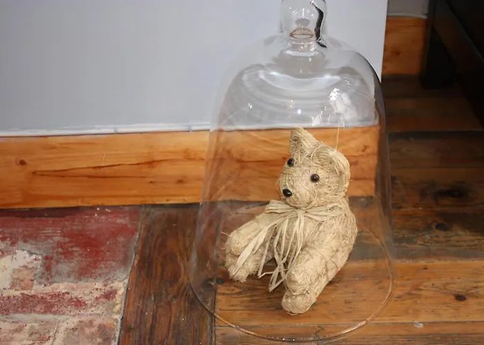 公寓 Parking Prive -le Valentin -coeur Historique -la Clef De