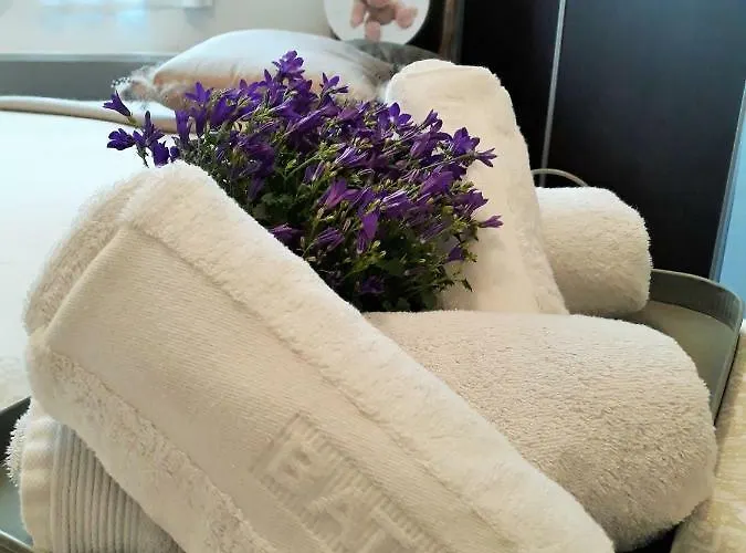 Apartment Parking Prive -le Valentin -coeur Historique -la Clef De